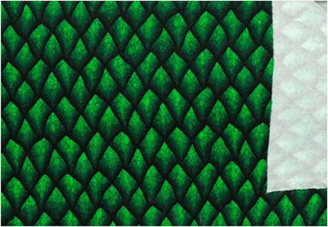 Dragon Scale  Sweatshirt